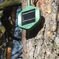 Mũi điện tử giúp cảnh báo cháy rừng siêu sớm