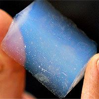 Đại học Princeton tìm ra cách dùng lòng trắng trứng loại bỏ các hạt vi nhựa khỏi nước biển