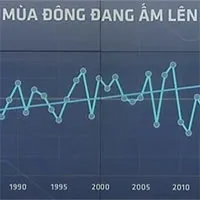 Vì sao mùa đông miền Bắc lại nóng bất thường, trái ngược dự báo?