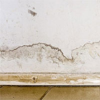 Vì sao không khí trong nhà cũng bị ô nhiễm?