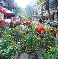 Dịp Tết Nguyên đán, nhiệt độ miền Bắc cao hơn trung bình nhiều năm