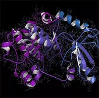 AI mới của Meta dự đoán hình dạng của 600 triệu protein mà giới khoa học chưa hề biết đến