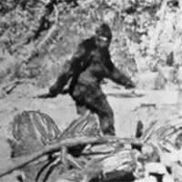 Đến nay, các nhà khoa học vẫn trăn trở với câu hỏi: Quái vật Bigfoot có thật không?