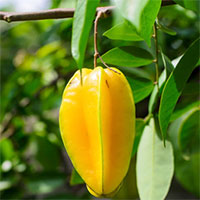 Những loại quả người lớn tuổi nên hạn chế ăn