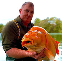 Cá vàng khổng lồ cắn câu ở Pháp