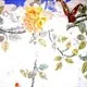 Huế: thêm một phát hiện về nghệ thuật trang trí nhà cổ