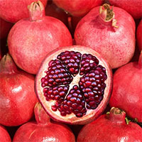 Thực phẩm giúp cầu thủ giữ nước và bổ sung dinh dưỡng trong thời tiết nóng khô của Qatar