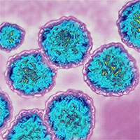 Hy vọng mới trong việc điều chế vaccine phòng chống viêm gan C