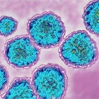 Hy vọng mới trong việc điều chế vaccine phòng chống viêm gan C