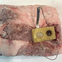 Các nhà khoa học phát triển cảm biến theo dõi mức glucose trong ruột