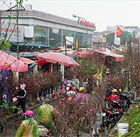 Bắc Bộ có thể rét đậm trong dịp Tết Nguyên đán Quý Mão