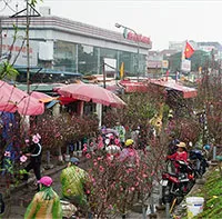 Bắc Bộ có thể rét đậm trong dịp Tết Nguyên đán Quý Mão