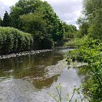 Những dòng sông bị quên lãng được hồi sinh như thế nào?