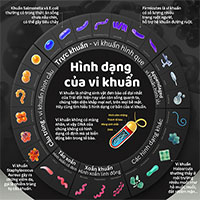 Hình dạng của vi khuẩn, dạng sống cổ đại nhất hành tinh xuất hiện 3,8 tỷ năm trước