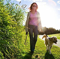 Những phương pháp 