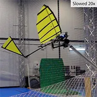 Robot bay vỗ cánh có thể đậu xuống thanh ngang bằng móng vuốt như chim