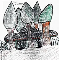 UFO từng đến một trường học ở châu Phi?