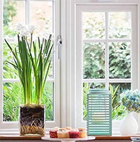 Tại sao chúng ta cần phải thông gió ngôi nhà vào mùa Đông?