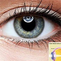 Tạo mô mắt bằng công nghệ in sinh học 3D