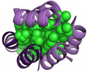 Thiên nhiên lựa chọn gì khi tạo ra protein?