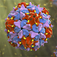 Phát hiện 110.000 loại virus RNA chưa từng thấy trước đây