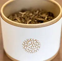 Nhiều bang ở Mỹ cho phép biến thi thể người chết thành “phân bón”