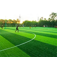 Vì sao cỏ của sân bóng đá luôn có 2 màu?