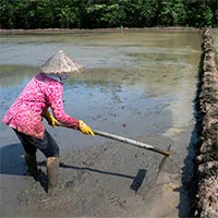 Làm đập ngăn dòng nhiều quá, con người sẽ thiếu điện, thiếu nước