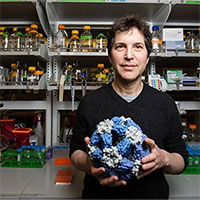 Phát hiện loại protein mới trị ung thư, Covid-19 nhờ AI