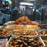 Ăn côn trùng là góp phần bảo vệ Trái đất