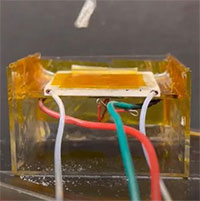 Phát triển vật liệu đàn hồi có thể phóng lên không trung như loài châu chấu