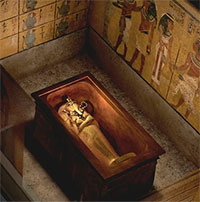 Bí ẩn loại nấm chết người đằng sau lời nguyền Tutankhamun
