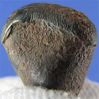 Cách phân biệt thiên thạch với đá thường