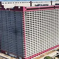 Tại sao Trung Quốc xây nhà chọc trời để nuôi lợn?