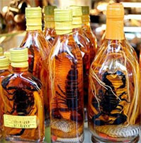 Chuyên gia khuyến cáo cách uống rượu ngâm cực nguy hiểm