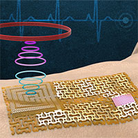 Da điện tử trong suốt giúp theo dõi cơ thể người