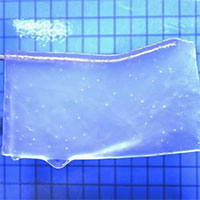 Hydrogel tái tạo mô tế bào thần kinh não sau tổn thương