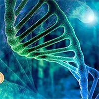 Bộ gene của chúng ta đầy "DNA rác, tại sao không xóa đi?