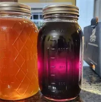 Nơi duy nhất trên thế giới có mật ong màu tím kỳ ảo ai nhìn cũng mê, lý do có thể là gì?