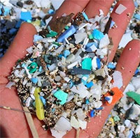 Hạt vi nhựa có thể truyền từ mẹ qua thai nhi