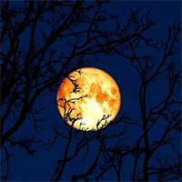 Tại sao trăng rằm tháng 2 được gọi là Trăng giun?