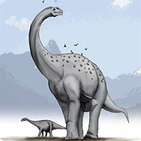 Động vật có thể lớn tới đâu?