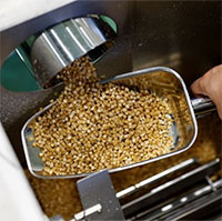 Biến gạo thành đồ nhựa an toàn mang lại hy vọng cho Fukushima sau thảm hoạ hạt nhân