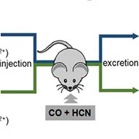 Phát hiện hợp chất có thể cứu sống các bệnh nhân bị ngộ độc khí