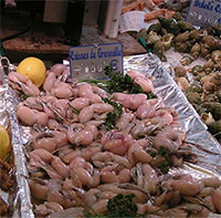 Ếch tự nhiên nguy cơ tuyệt chủng vì dân châu Âu mê thịt ếch