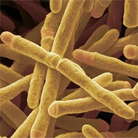Phát hiện enzyme có thể biến không khí thành năng lượng
