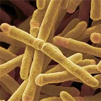 Phát hiện enzyme có thể biến không khí thành năng lượng