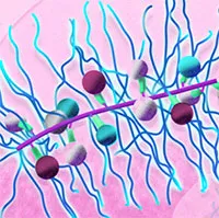 Nhà khoa học tạo thành công hạt nano dẫn thuốc điều trị đa u tủy