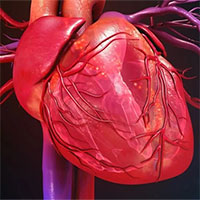 Tái tạo thành công tim người bằng công nghệ in 3D