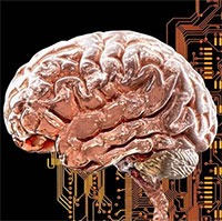 Phát hiện mạng lưới não bí ẩn có thể gây ra nhiều chứng rối loạn tâm thần